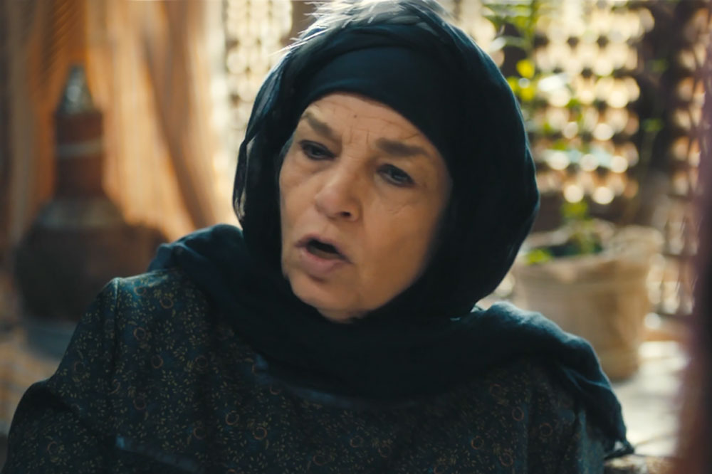 سالوسة تبدو حالة فنية فريدة من نوعها، إذ من النادر أن ينشغل الجمهور بفنانة مثلها ويبحث عنها وسط نجوم الشباك، وعندما لا يجدها ضمن المكرمين يتولى مهمة منحها تكريما من نوع خاص.