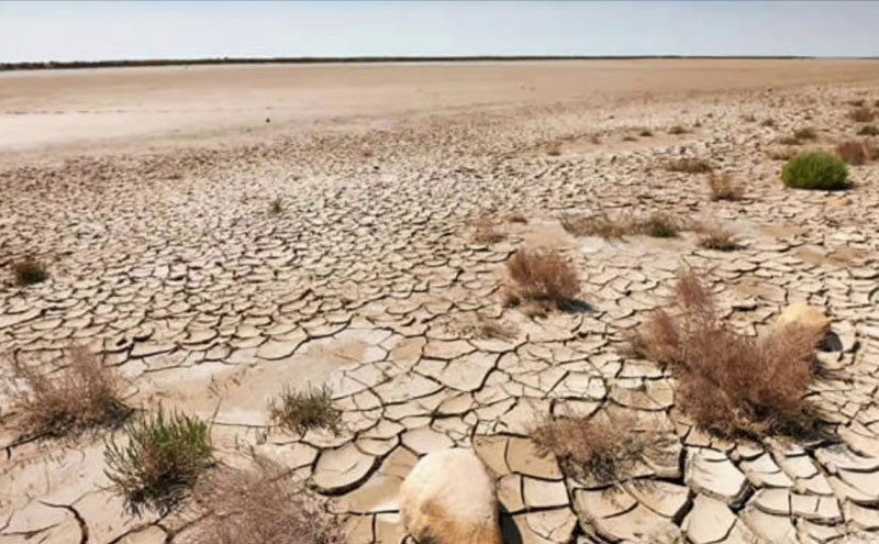 التصحر وتعري التربة من التحديات الأساسية أمام الأمن الغذائي