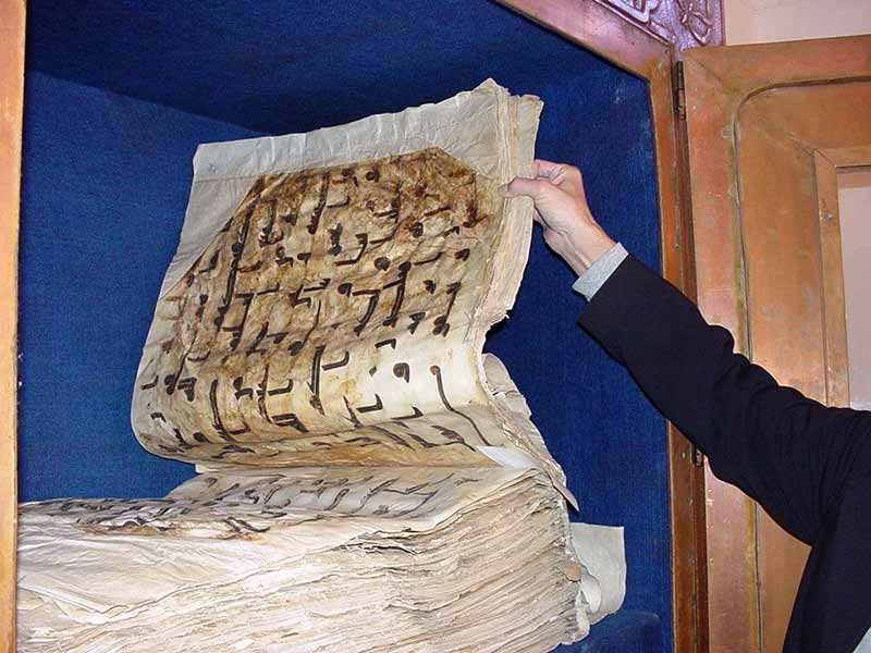 الردود التي تفاعلت مع ما نطق به الصديق لم تنح منحاه في التفكير وفي إثارة الإشكاليات الفكرية المحرجة في فضائنا العربي، إنما سارعت إلى استدعاء الآليات المعتادة، وهي هنا التكفير والاتهام بالزندقة أو الجنون، حتى أن الشيخ السلفي البشير بن حسن قال إن "تصريحات يوسف الصديق تدخل في باب الزندقة"
