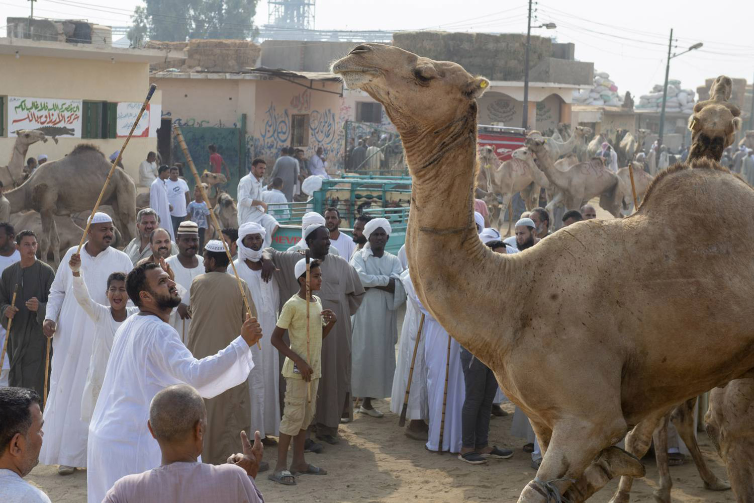 مجزرة برقاش