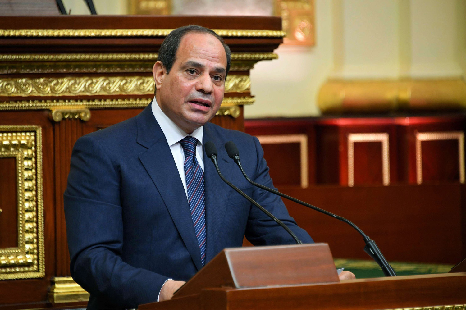 الرئيس عبدالفتاح السيسي سيستضيف العديد من نظرائه العرب والأوروبيين