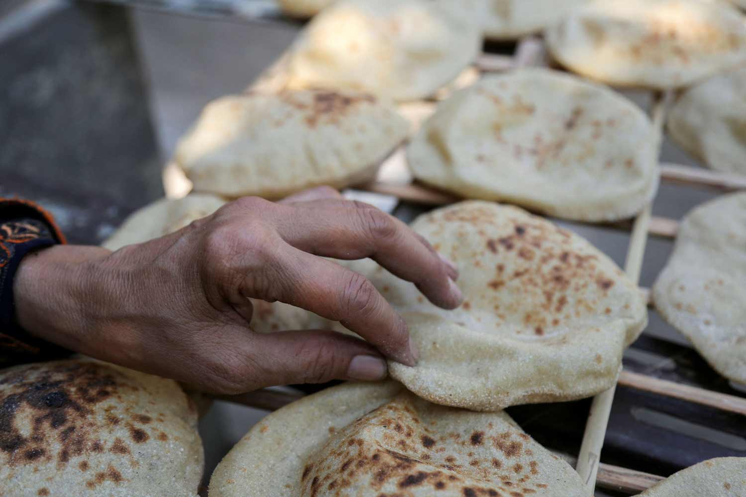 الرغيف بات مهددا بالفقدان في العديد من الدول العربية  