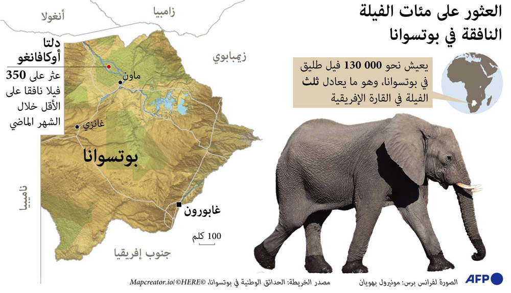 غراف