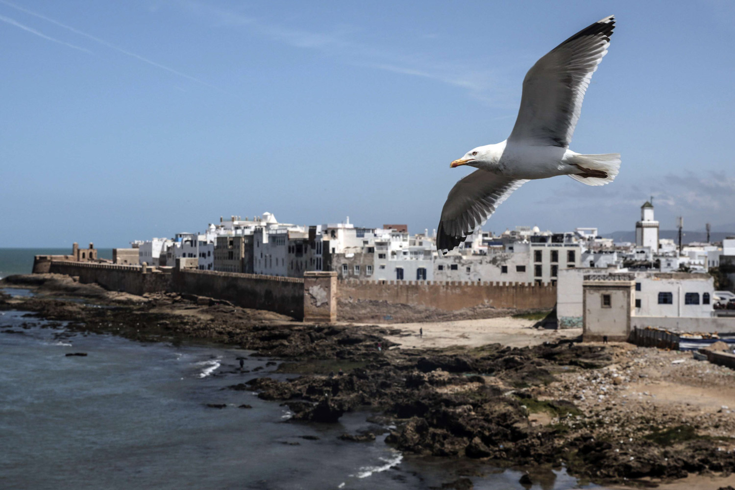 إدراج مدينة الصويرة المغربية بصفتها مدينة الموسيقى