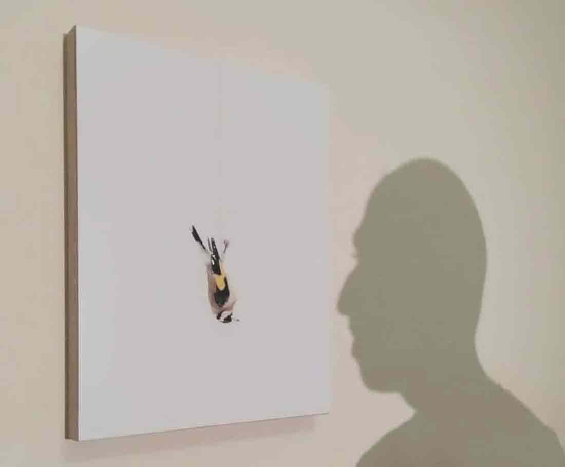 كلانا ميت.. مسألة وقت لا غير