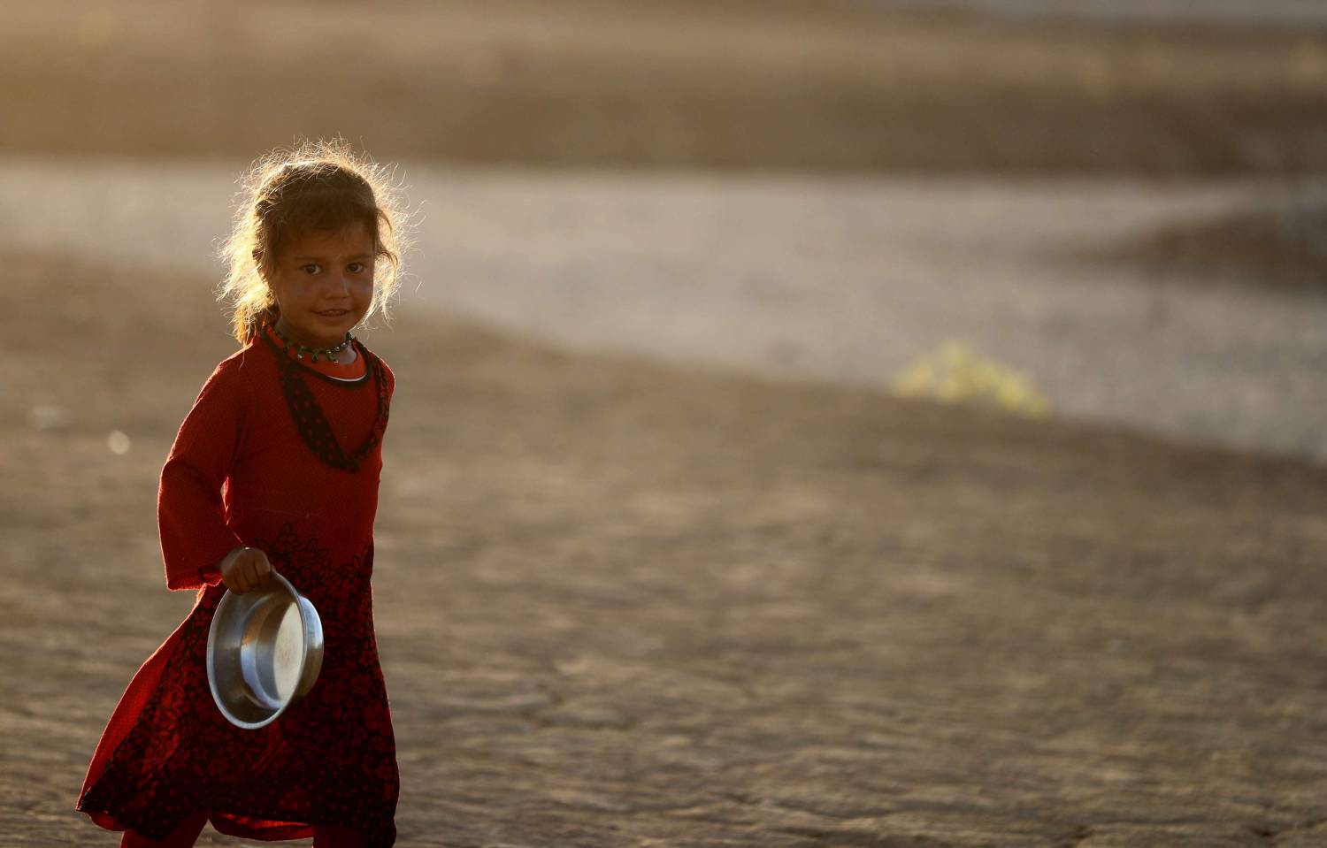 من المرجح في أفق عام 2030، أن يزداد الضغط الديمغرافي بفعل التحولات المناخية وتغير الأنماط الغذائية التي ستحد دون شك من الإمكانيات الزراعية المتاحة في المنطقة