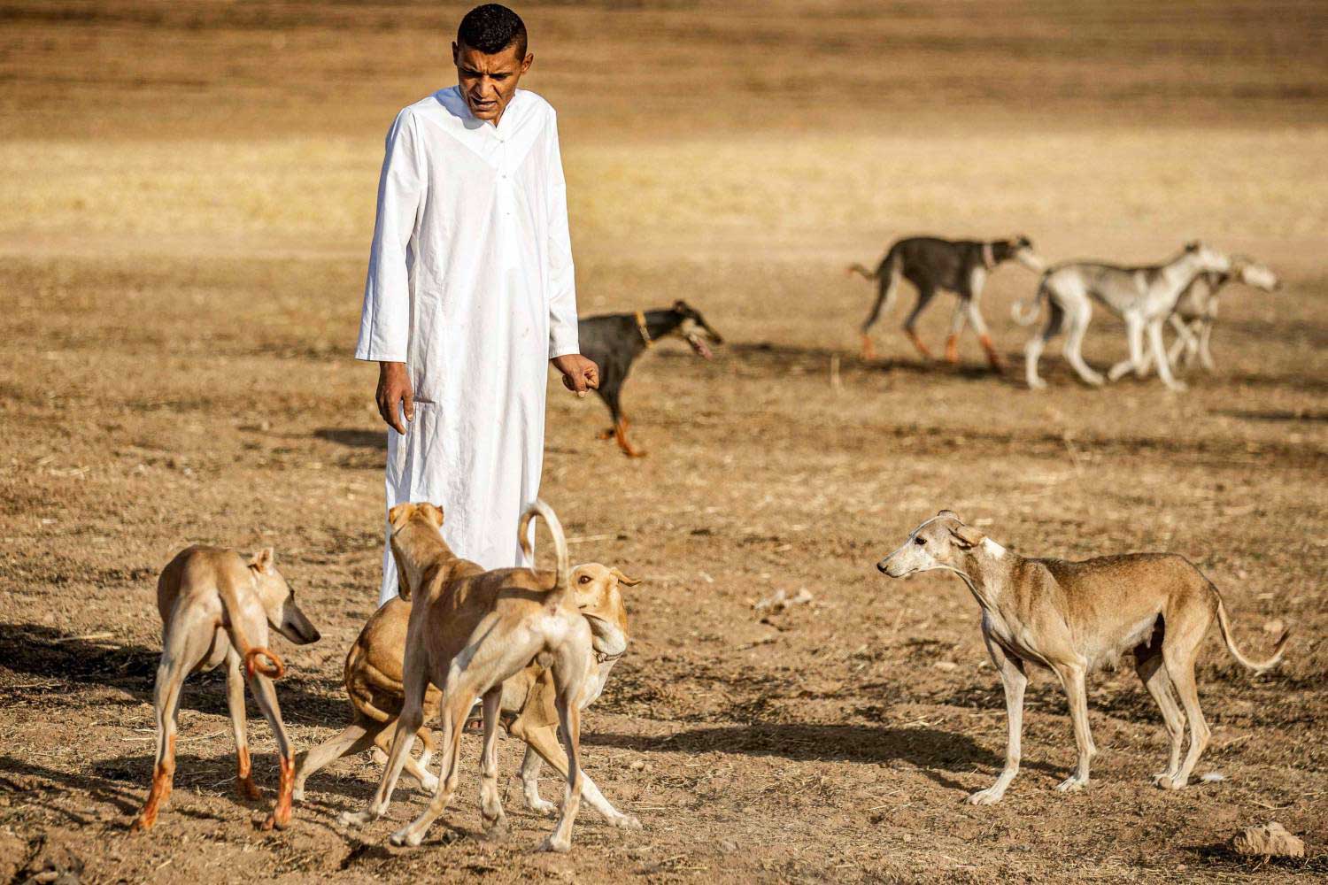 مهنة ليست مرغوبة من قبل جميع سكان الدرباسية