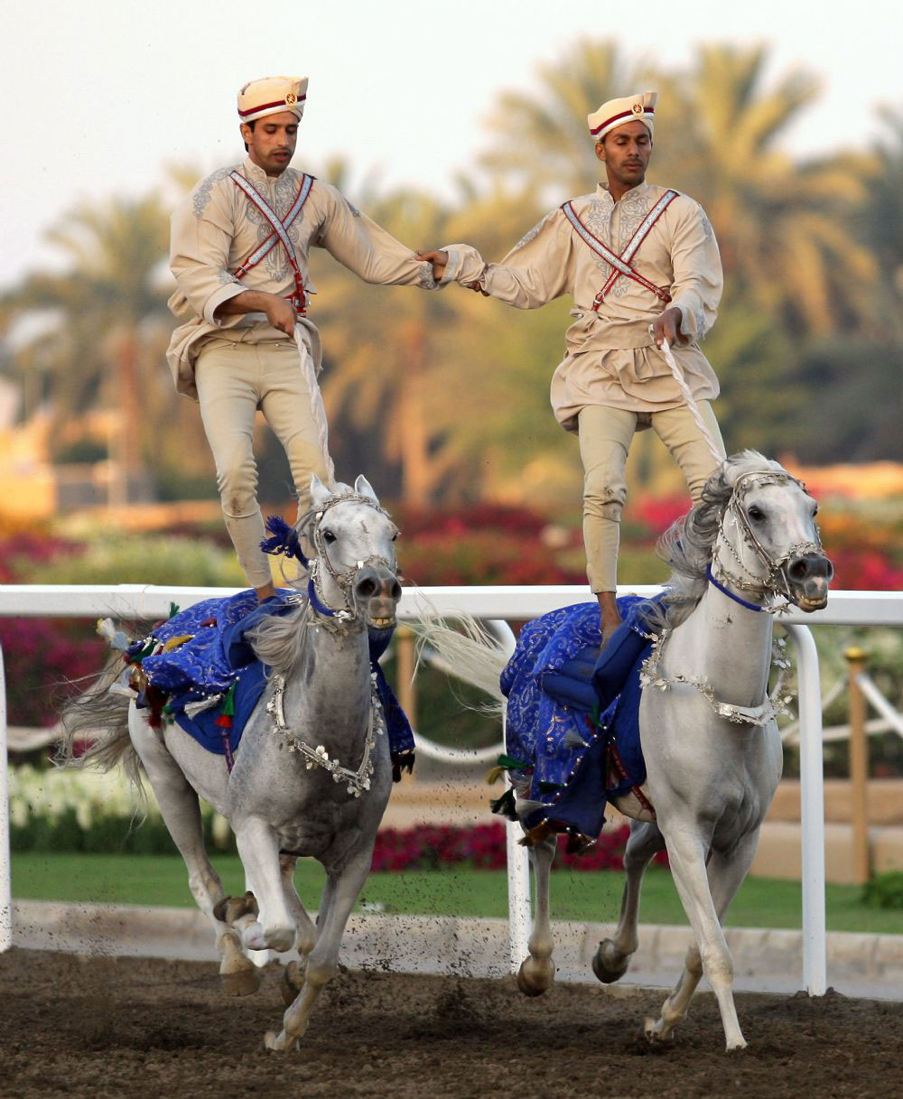 تناسق على جناح السرعة