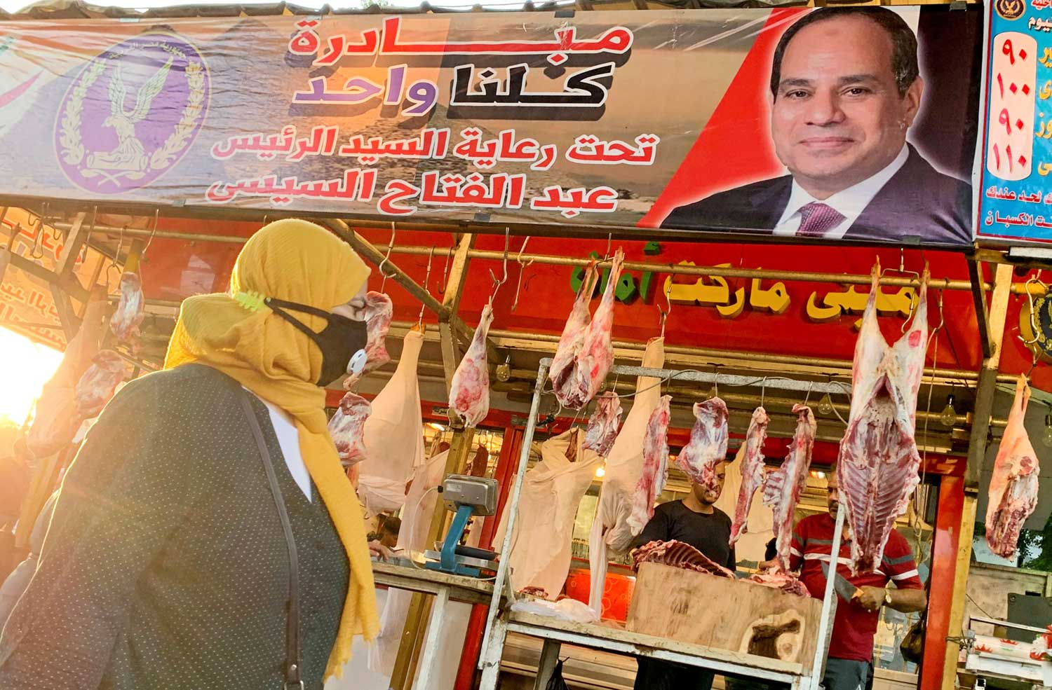 الرئيس المصري يهتم باستعادة دور الدولة في الاقتصاد