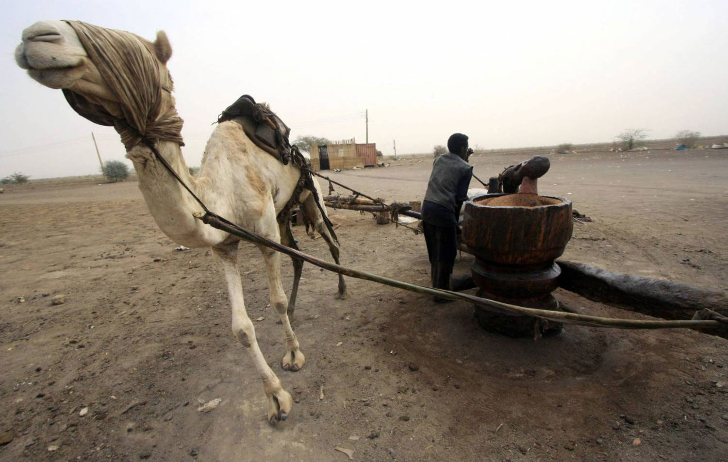 عملية شاقة