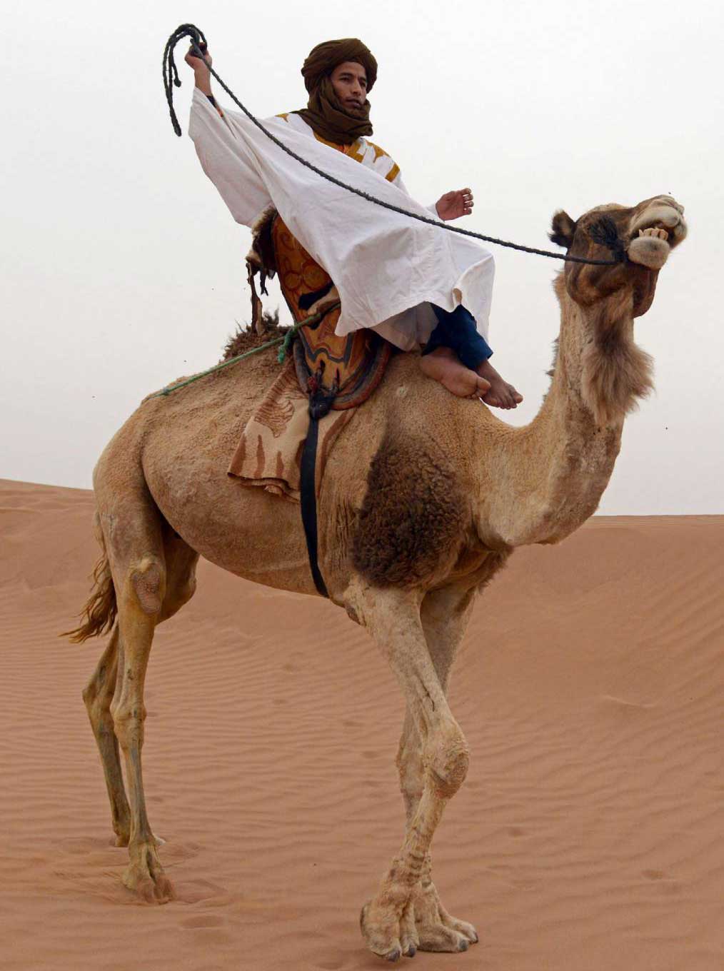 طقوس احتفالية