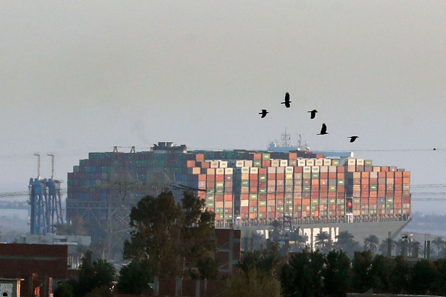 صورة