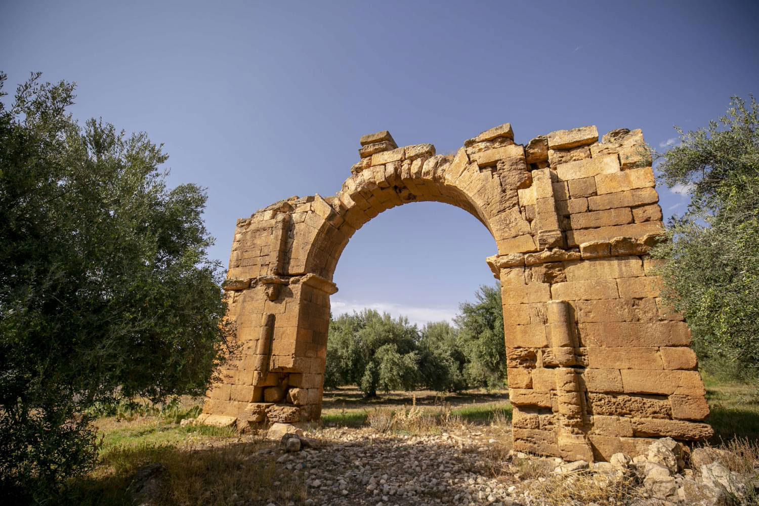 على قارعة النهب
