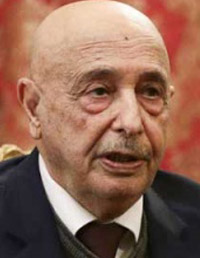 عقيلة صالح: كل شخص مطلوب قضائيا لا يحق له الترشح للرئاسة