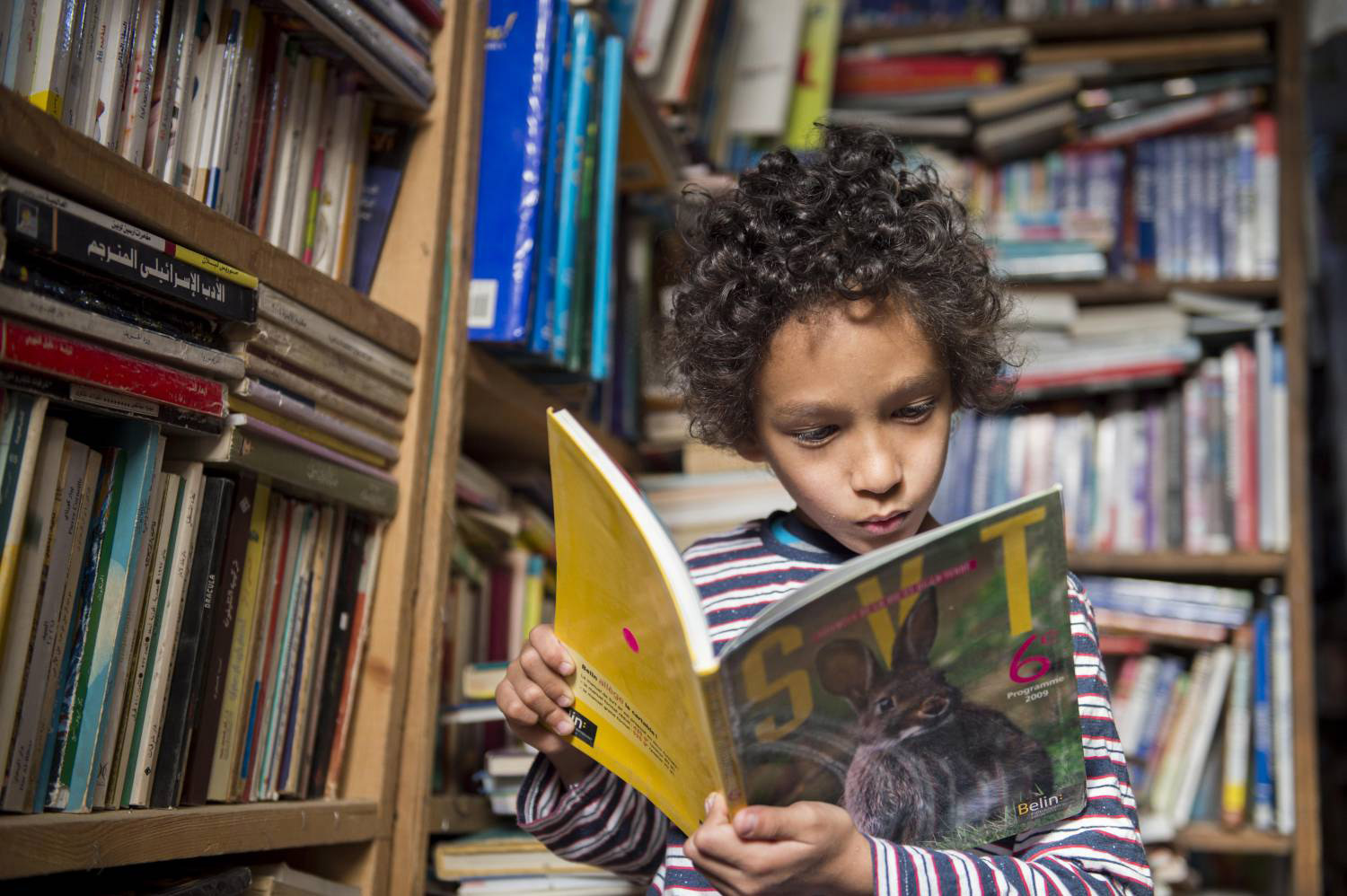 لا حاجة إلى أن تسافر إلى القاهرة فالكتب تأتيك