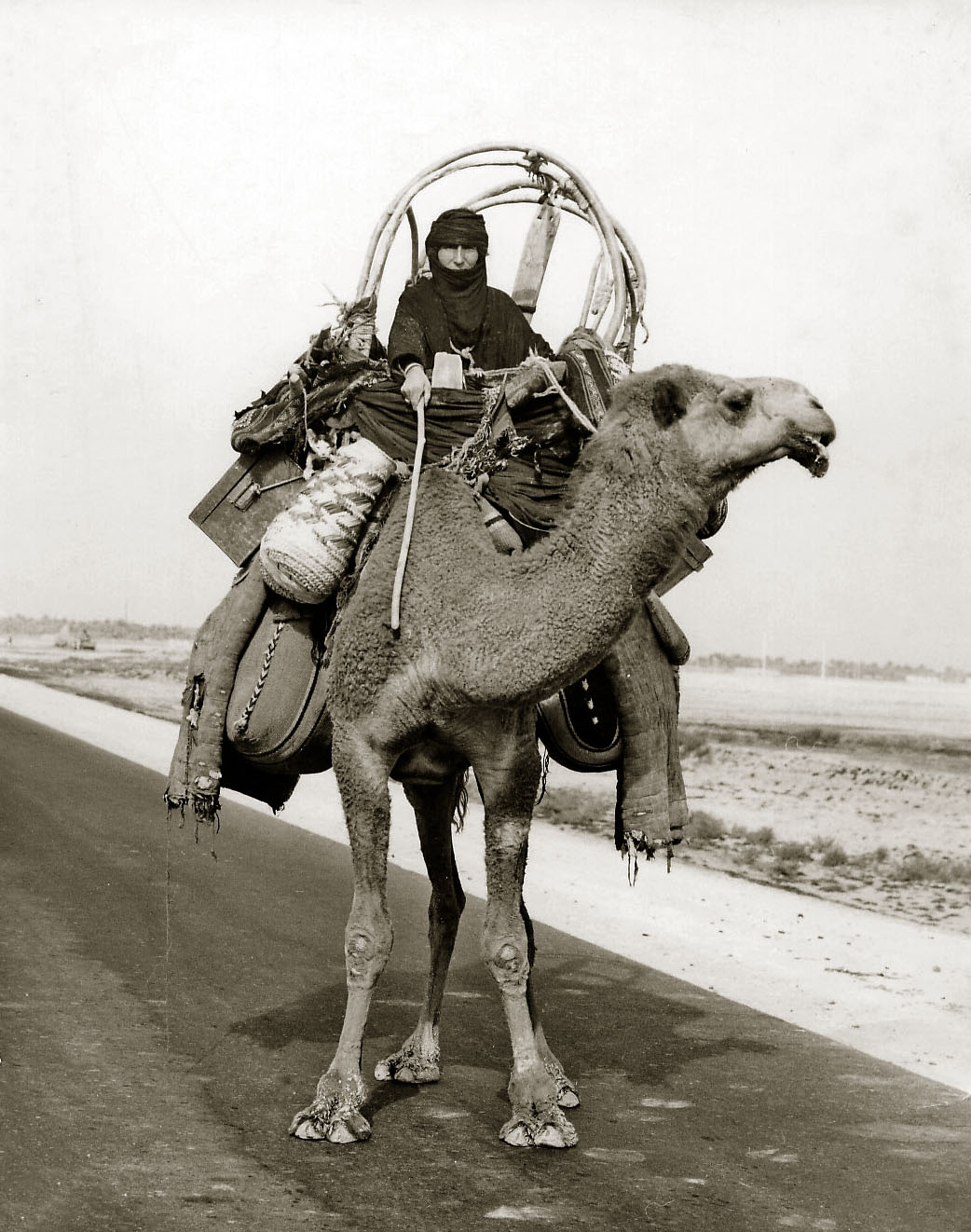 مراد الداغستاني يحاول في كل صوره الشخصية التي التقطها لأصحاب الحرف والمجانين والعامة من الناس، أن يعري الوجه البشري من الداخل
