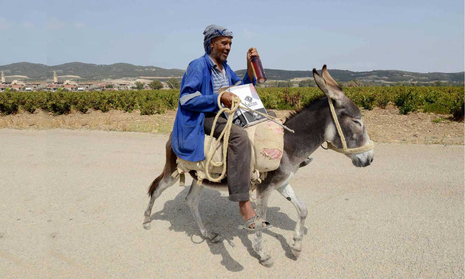 "حبّ الخمرة من حبّ الحياة"
