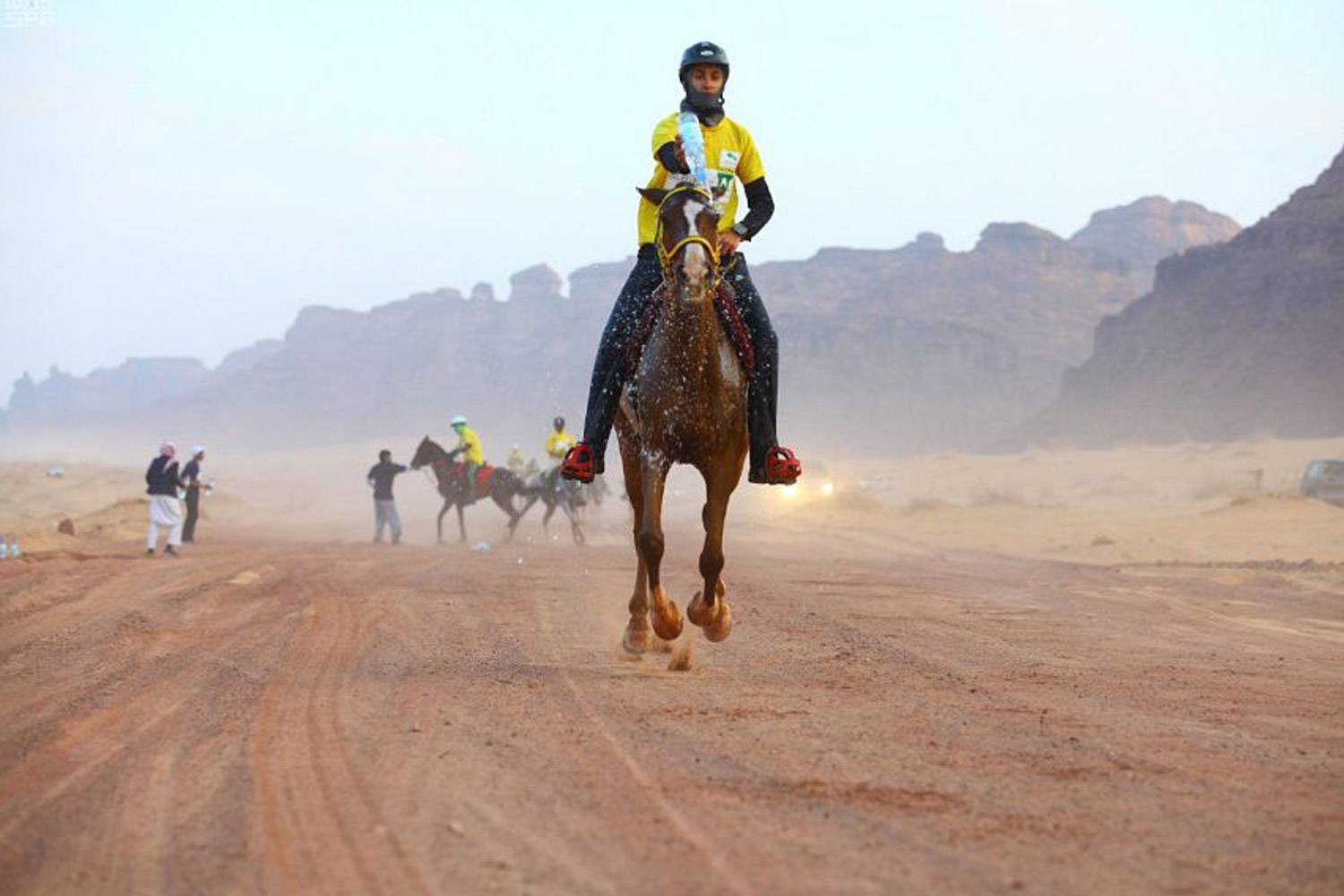 الخيول لا تغيب عن المناسبات