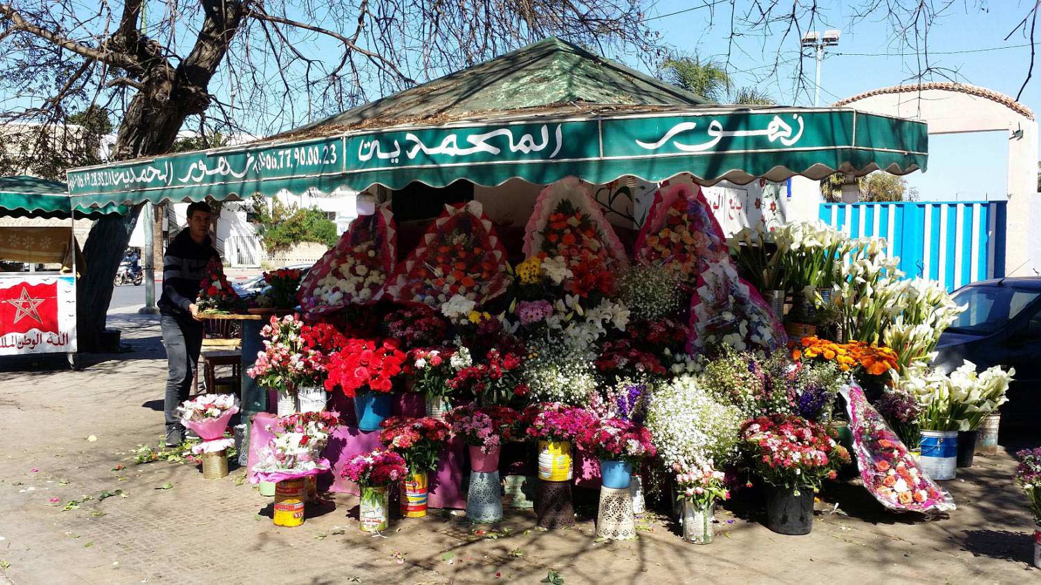 المحمدية المغربية مدينة الزهور
