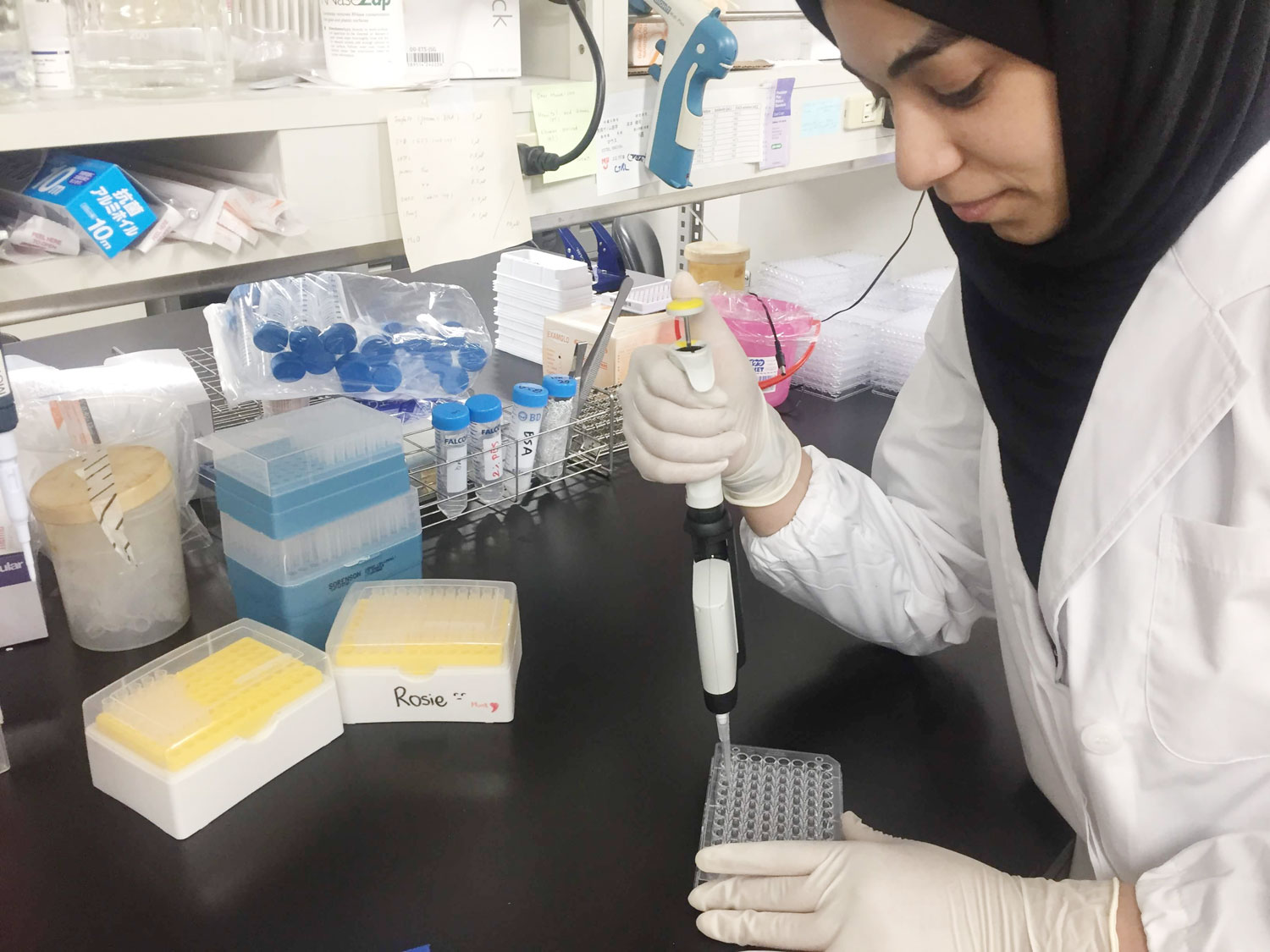 الحبسي: المرأة العربية ليست عازفة عن العلوم