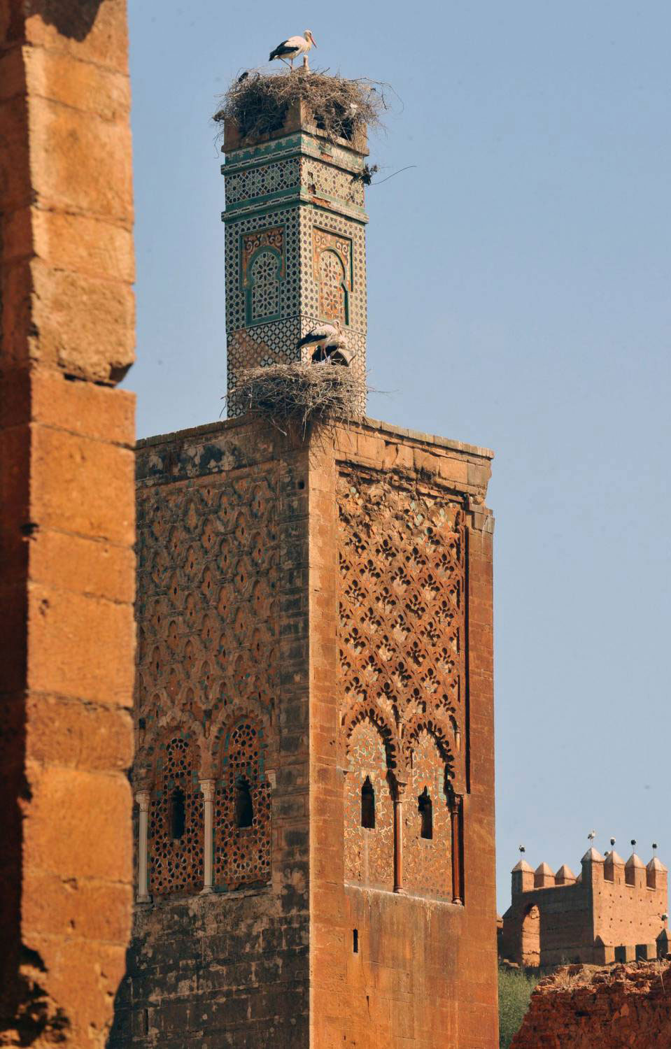 يسكن الأعالي