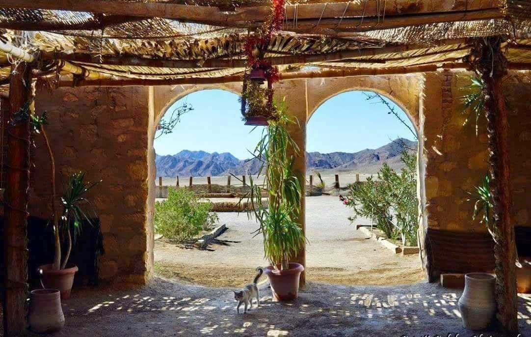 أجواء من الإثارة