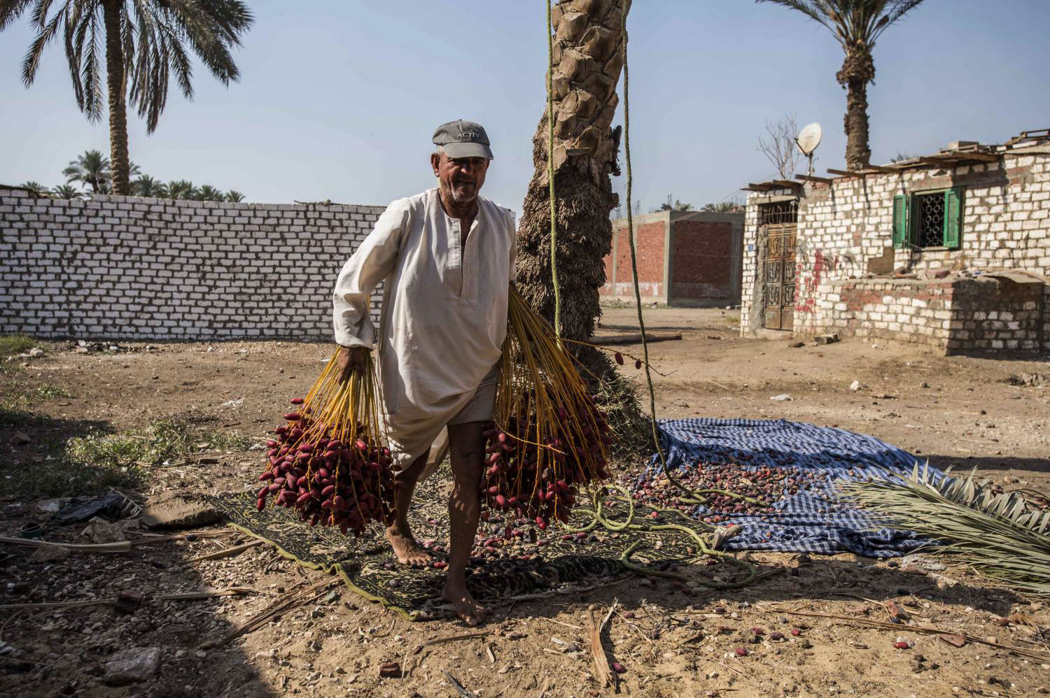 إنتاج وفير يبحث عن التطوير