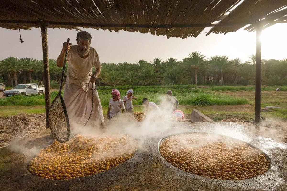 موسم التبسيل بعدسة المصور 