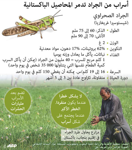 غراف
