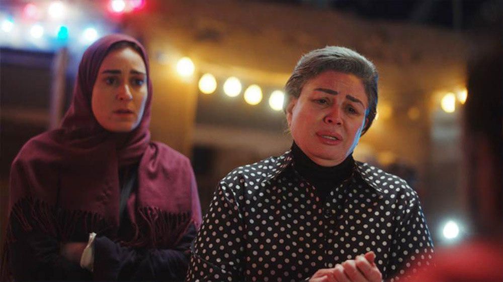 أرشيفها الفني يضم أكثر من 100 فيلم، ونحو 50 مسلسلا، ناقشت فيها أغلب القضايا الشائكة في المجتمع