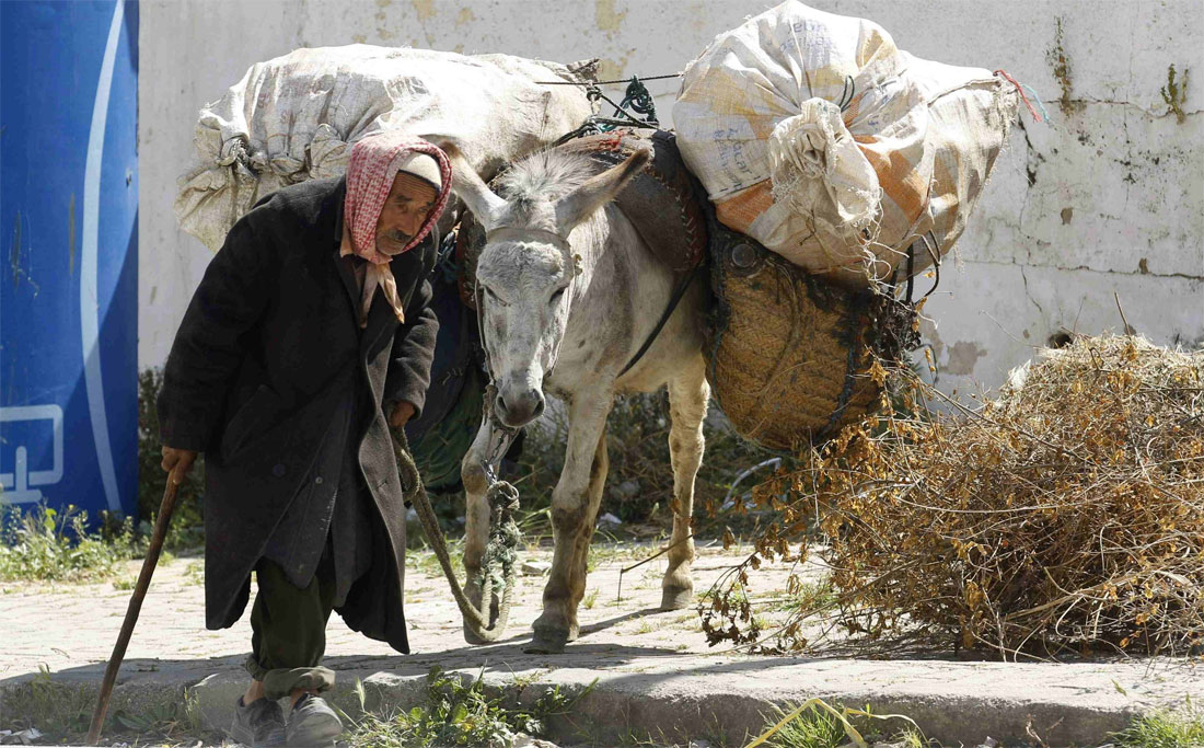 لا يستقيم حال البلاد والناس ضاقوا ذرعا من الفقر