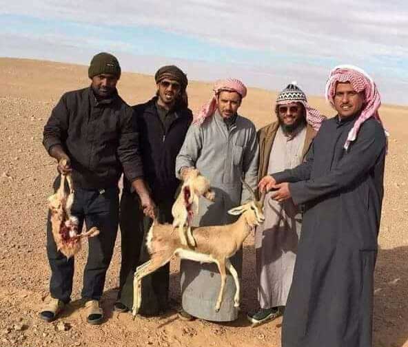 خبراء: القطريون دأبوا على انتهاك الصحراء التونسية