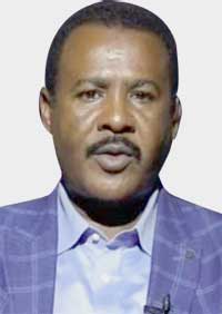 الرشيد محمد إبراهيم: مؤتمرات أصدقاء السودان تتأثر بالتجاذب داخليا وخارجيا