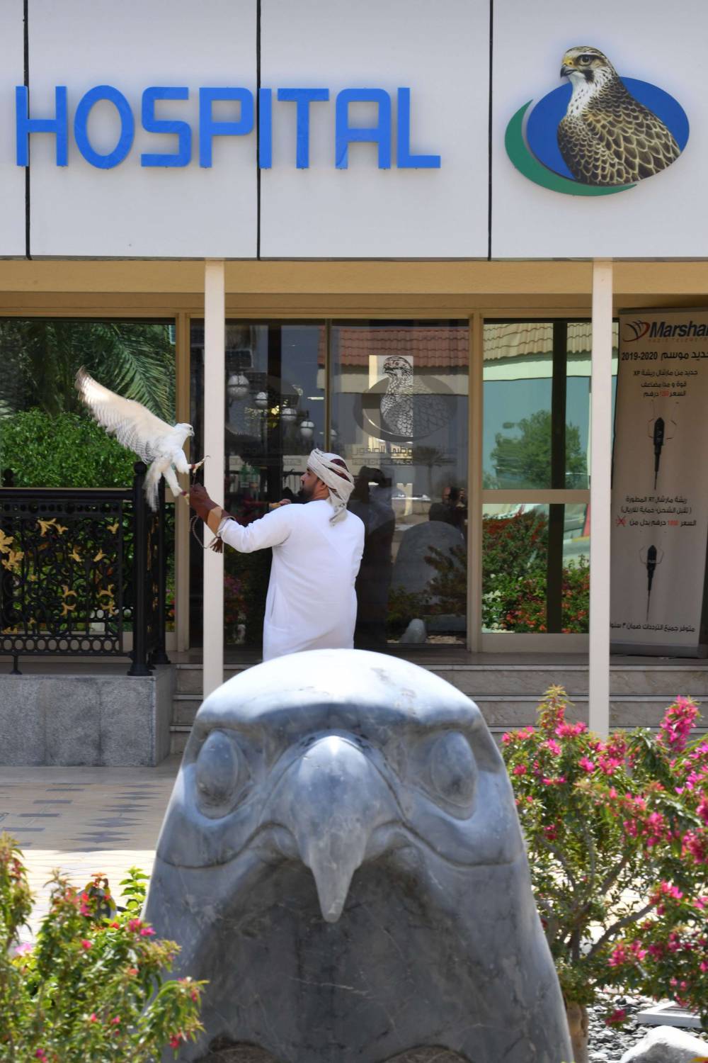 فحوص لازمة للصقور ضمانا لسلامتها وصحتها