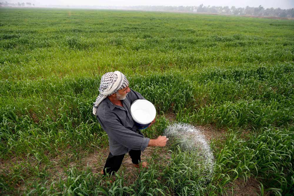 الرهان على القطاع الزراعي