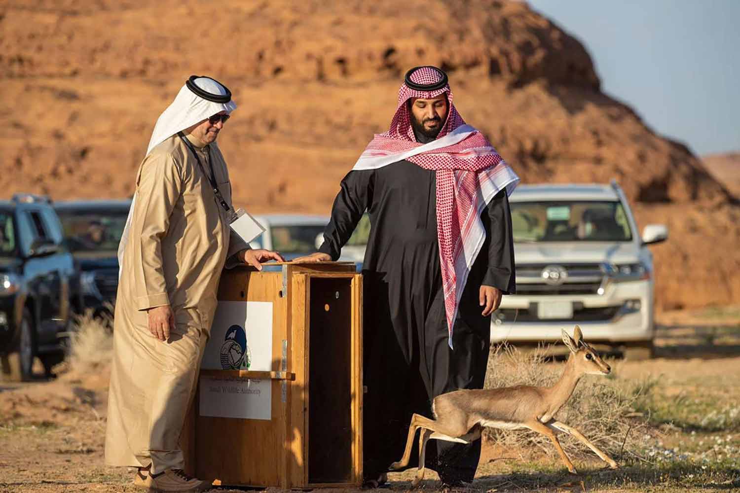مشروعات العلا "لا شيء" قياسًا بالإنجازات المرتقبة