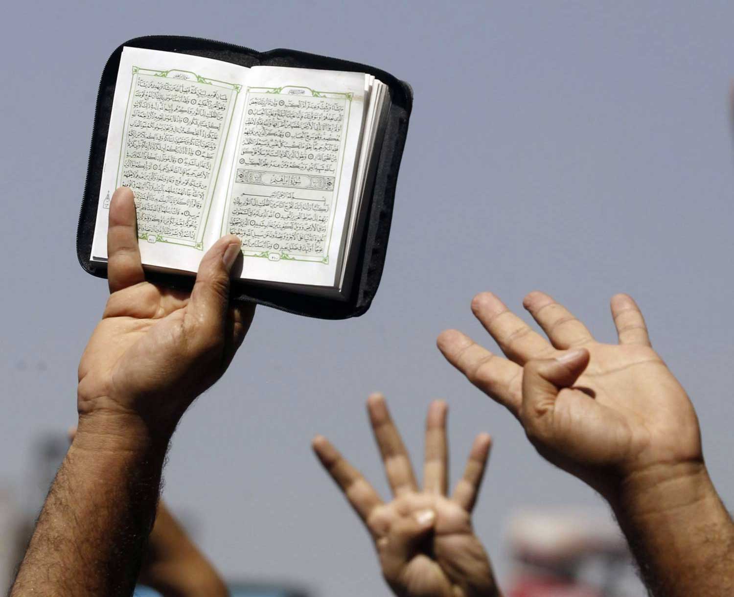 باب السياسة لم يكن مفتوحا للإخوان في السعودية