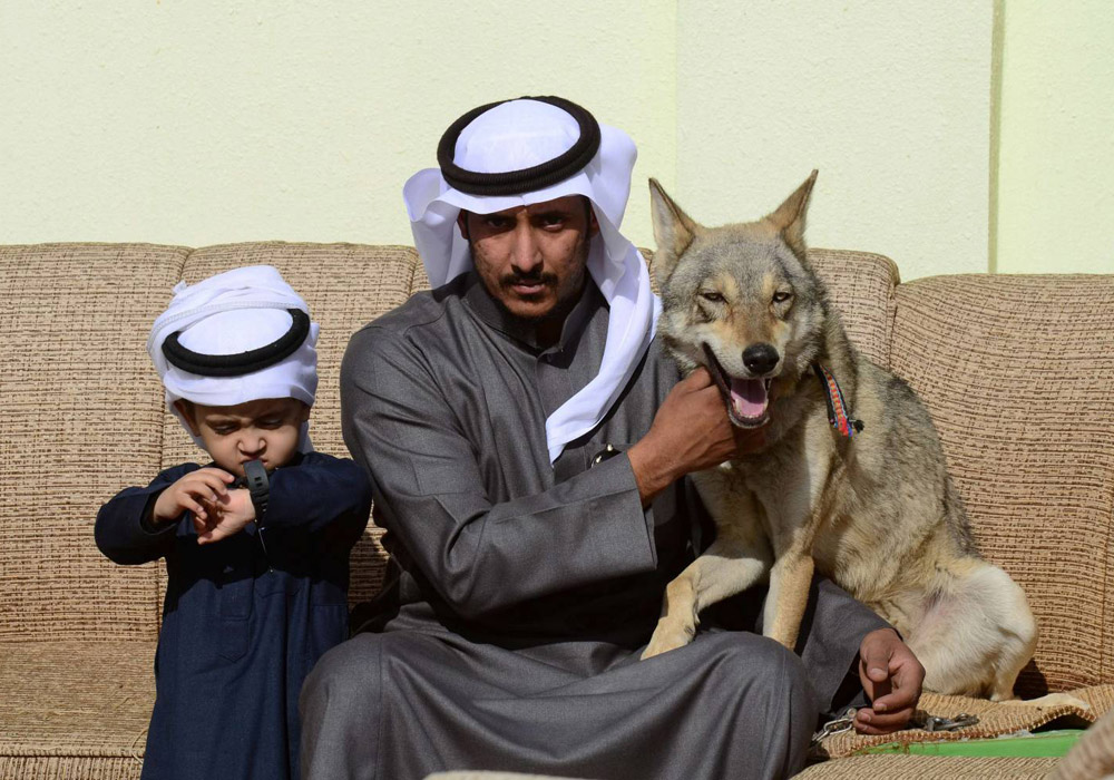 بُعد نظر