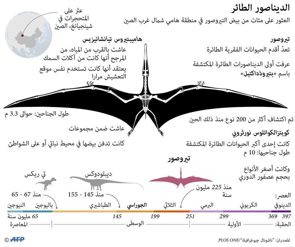 غراف