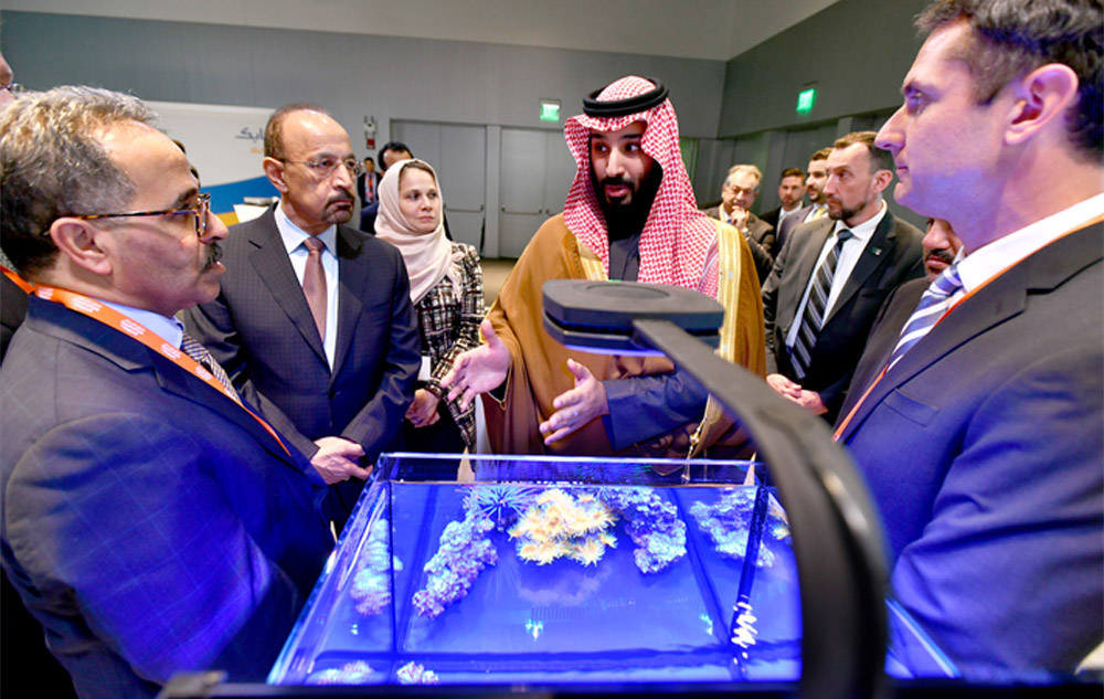 عضويته في المجلس التأسيسي لمشروع "نيوم" مكنت النصر من تطوير الاستراتيجية الأولية لمشروع "خليج نيوم" والتي تشكل إحدى المراحل الأولية من تطوير مشروع "نيوم" ككل.