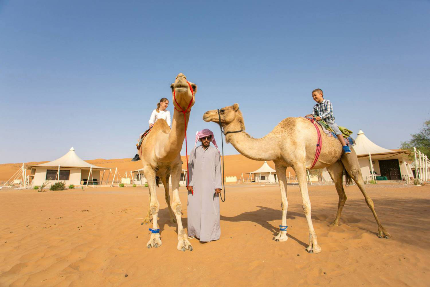 ركوب الجمل متعة ولعبة