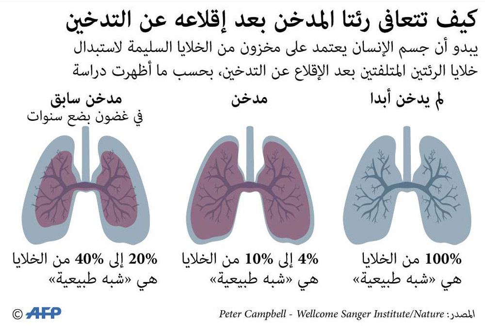 غراف