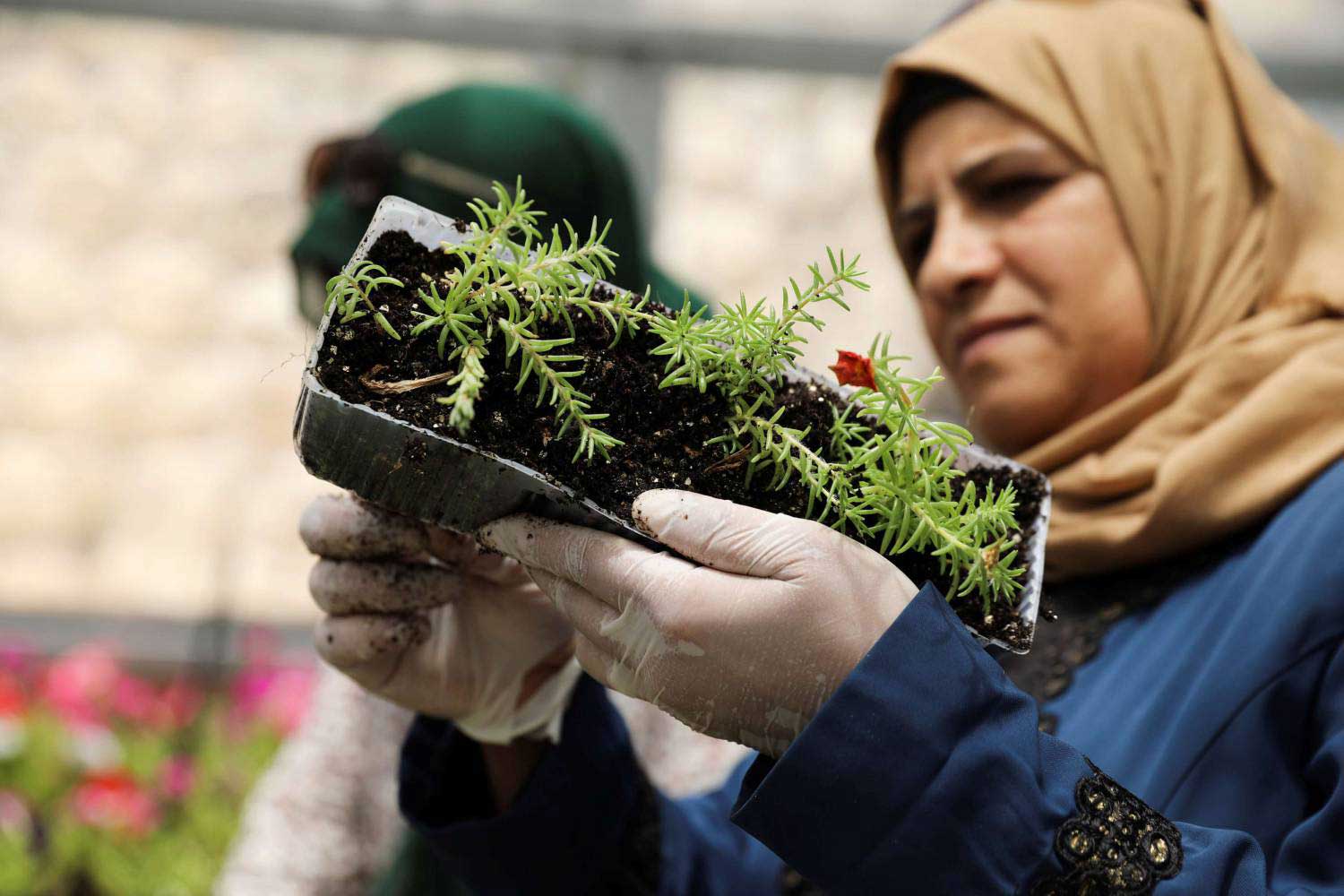 الانخراط في أعمال لا ترهق العقل والجسم يساعد في حل المشاكل