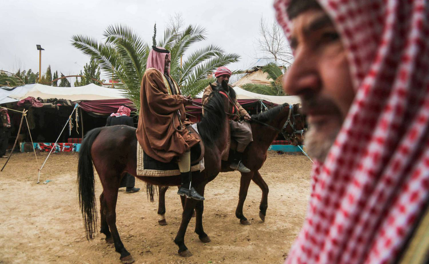 الحالة النفسية المنهارة وسوء التغذية يحوّلان الخيل إلى أشباح