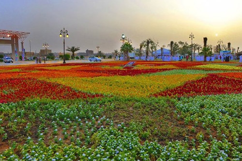 تبوك
