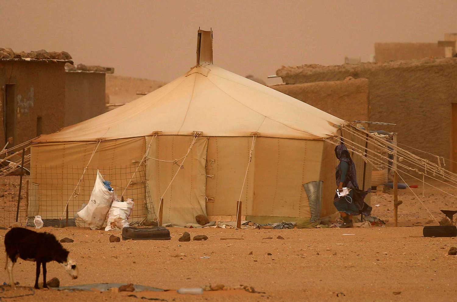 المفوضية السامية لغوث اللاجئين خذلت سكان تندوف وهي عاجزة حتى اليوم عن تسجيلهم ومنحهم وثائق ثبوتية