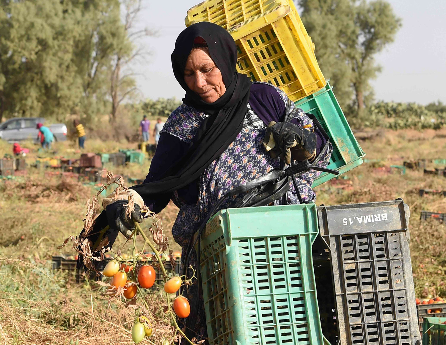 مطالب بتسوية الديون ووضع حزام للأمان المجتمعي  لدعم الفئات الضعيفة