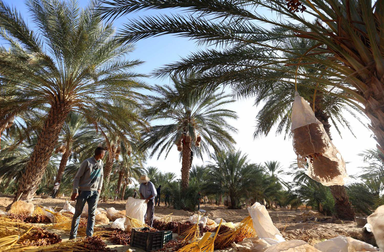 الحكومة لا تكترث لأهم مصادر العملة الصعبة