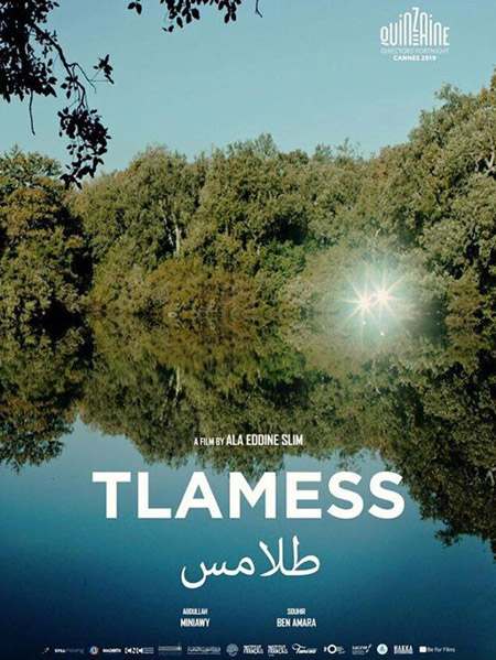 هل يمكن اعتبار الغابة في الفيلم معادلا للمجهول، أي الجانب الآخر من عالمنا الذي لا نعرف عنه سوى القليل؟