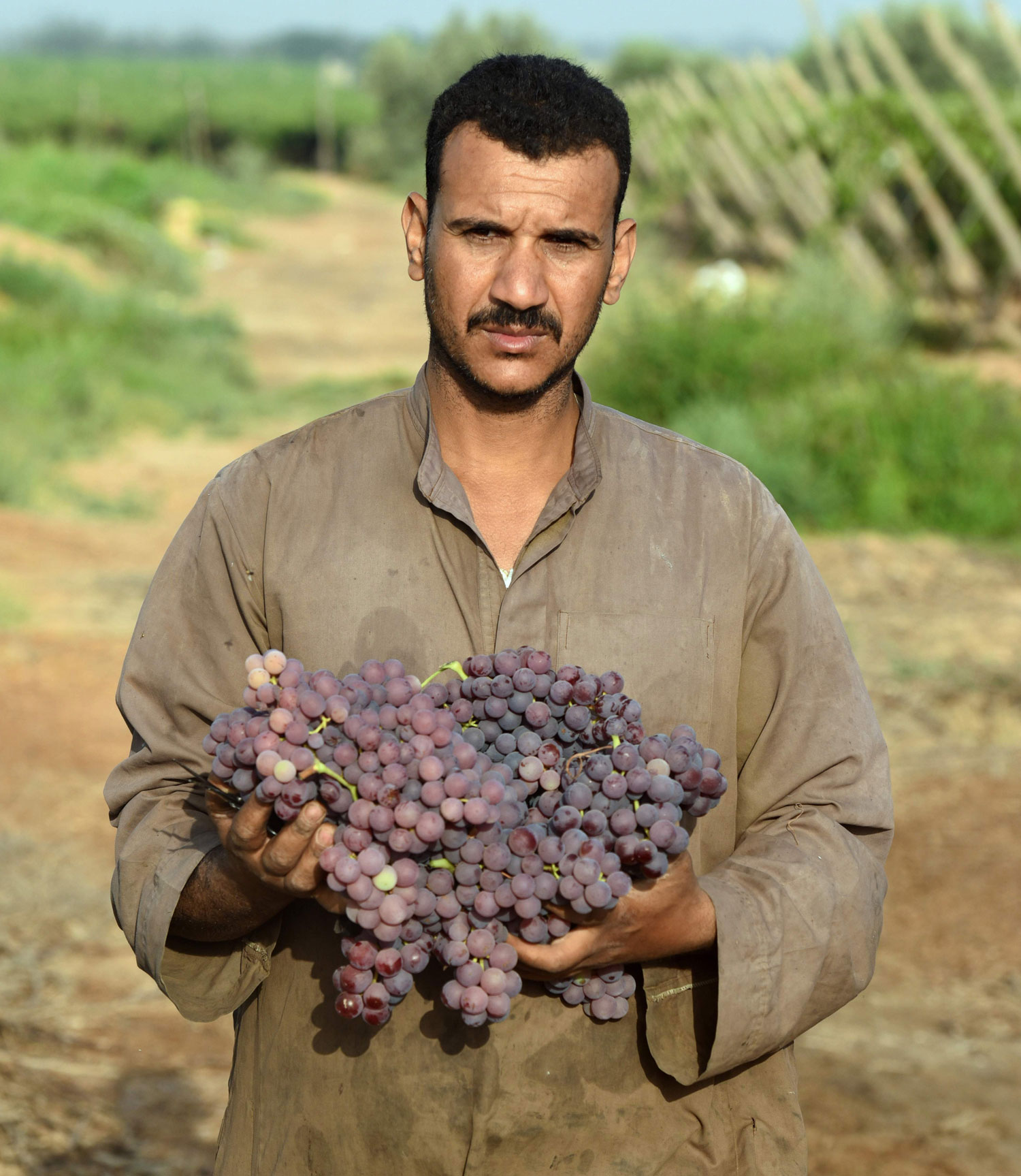 الصورة